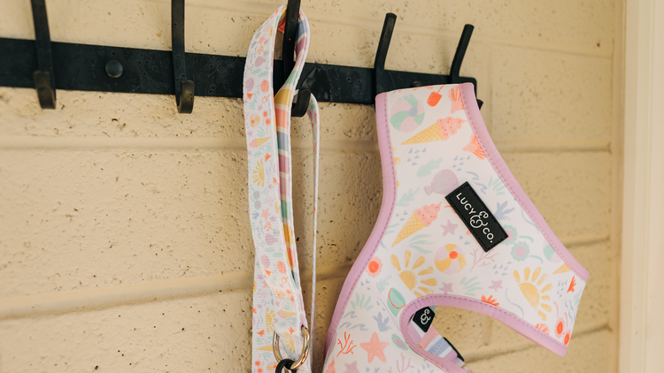 Customer Favorites