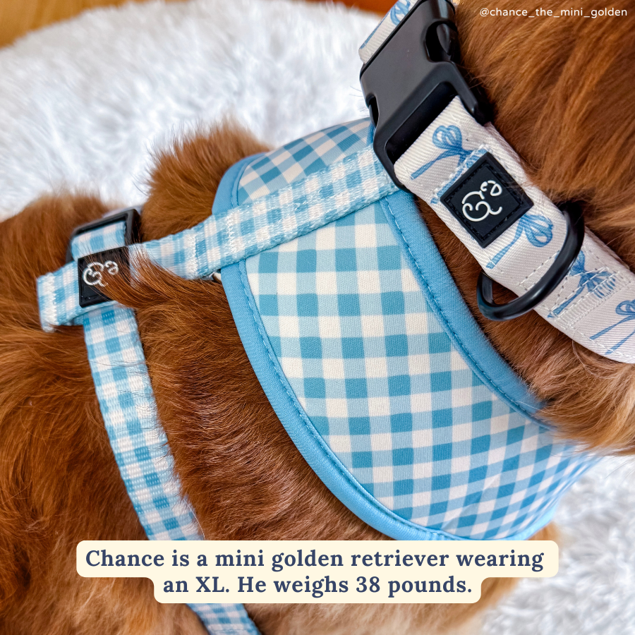 Bowwow Wow! Reversible Harness