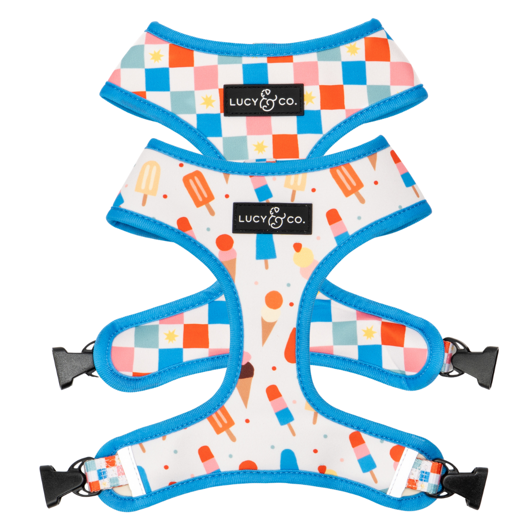 Sundae Kinda Love Reversible Neoprene Harness | Lucy & Co.