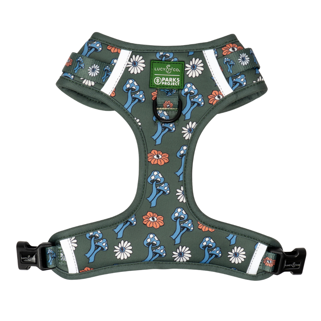The Lucy & Co. x Parks Project | Power to the Parks No-Pull Harness