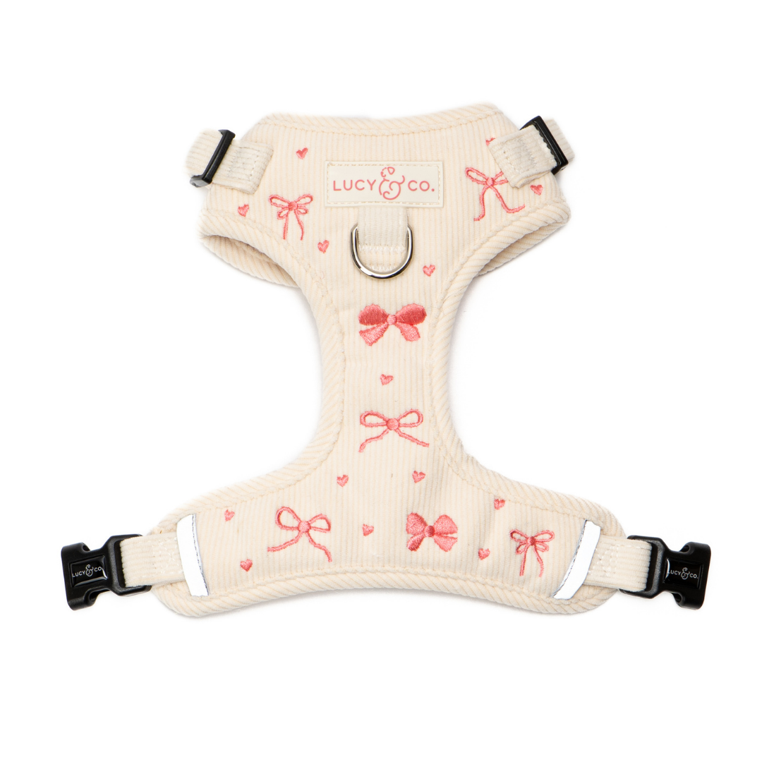 The Ever So Sweet Corduroy No-Pull Harness | Lucy & Co.