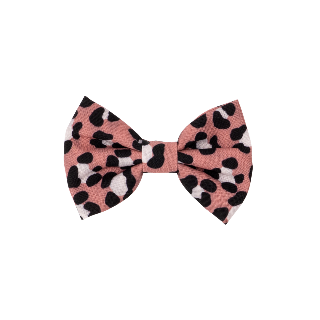Wild Side Cat (& Small Dog) Bow Tie – Lucy & Co.