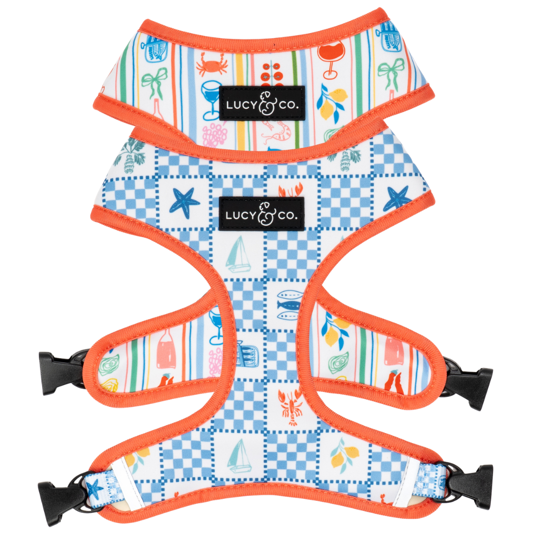 The Sunny in Sicily Reversible Neoprene Harness | Lucy & Co.