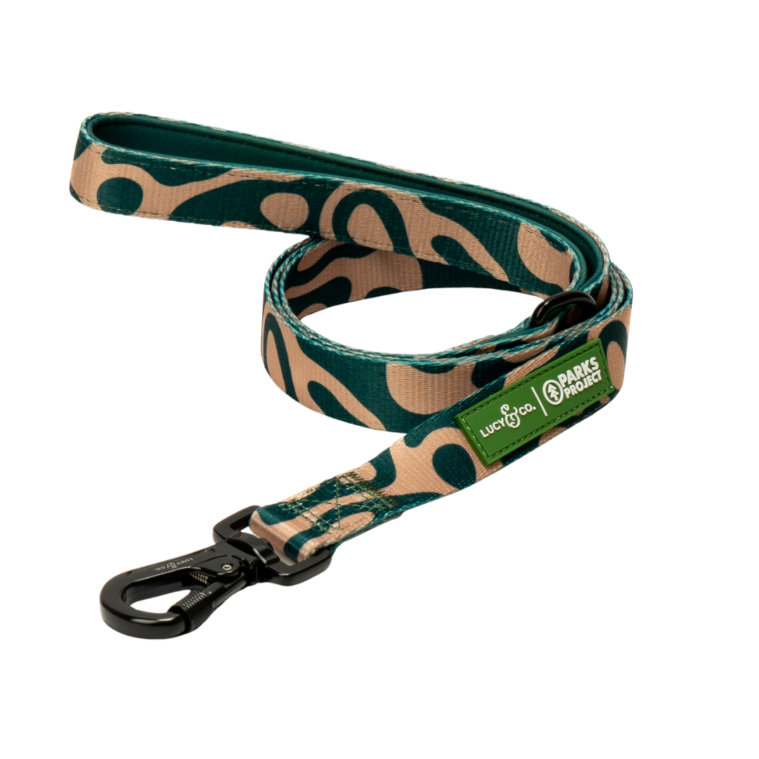 Lucy & Co. x Parks Project | Geyser Dog Leash