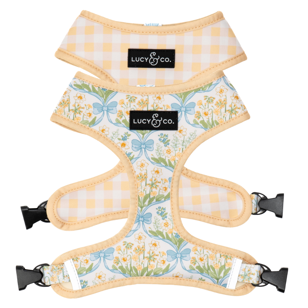 The Sunshine and Daffodils Reversible Neoprene Harness | Lucy & Co.