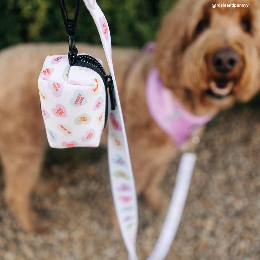 Talk About Love Leash