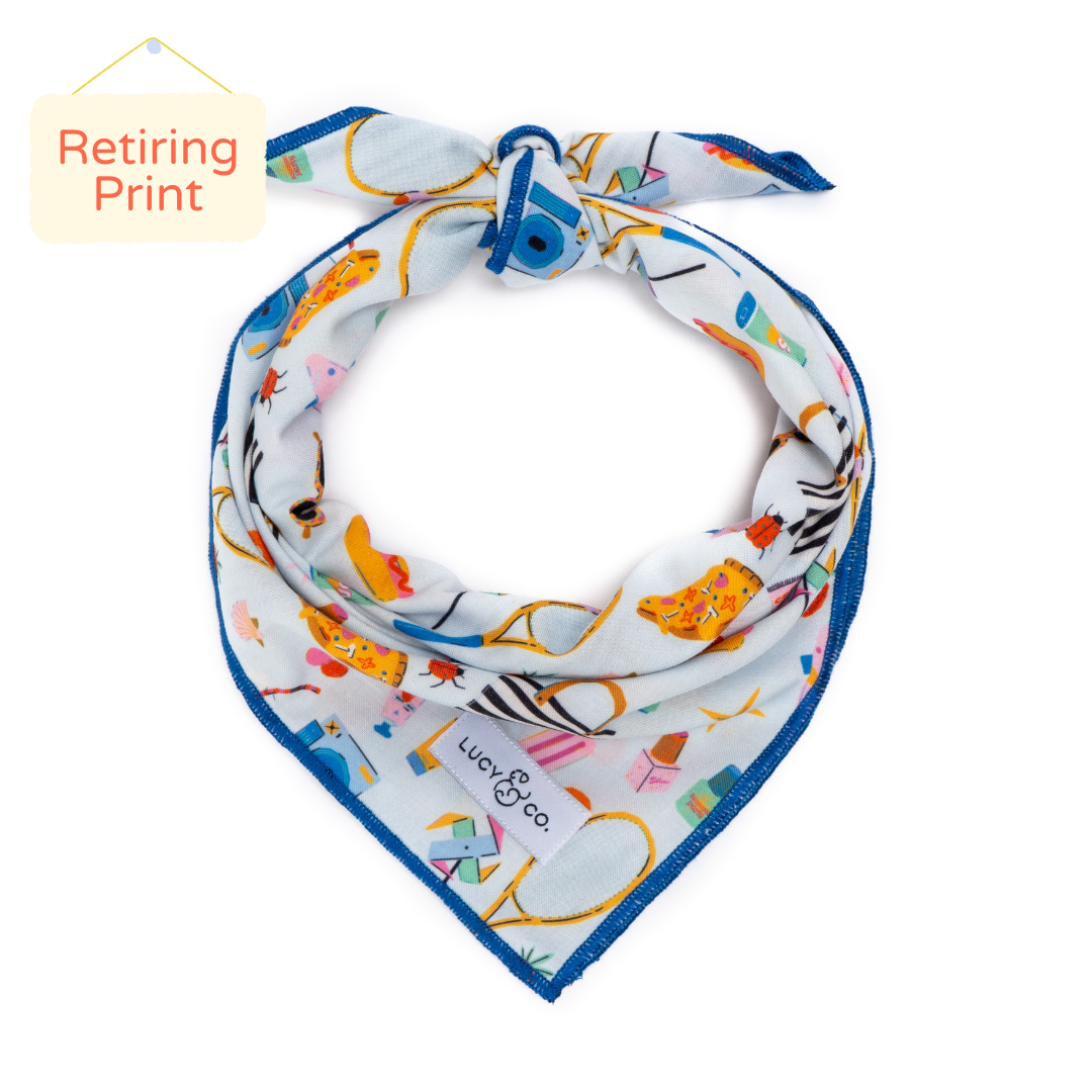 The Top Down Cruising Bandana