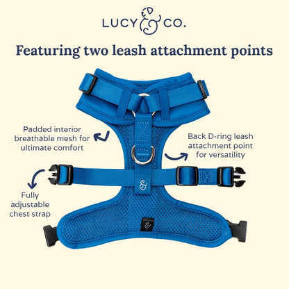 The Indie No-Pull Harness
