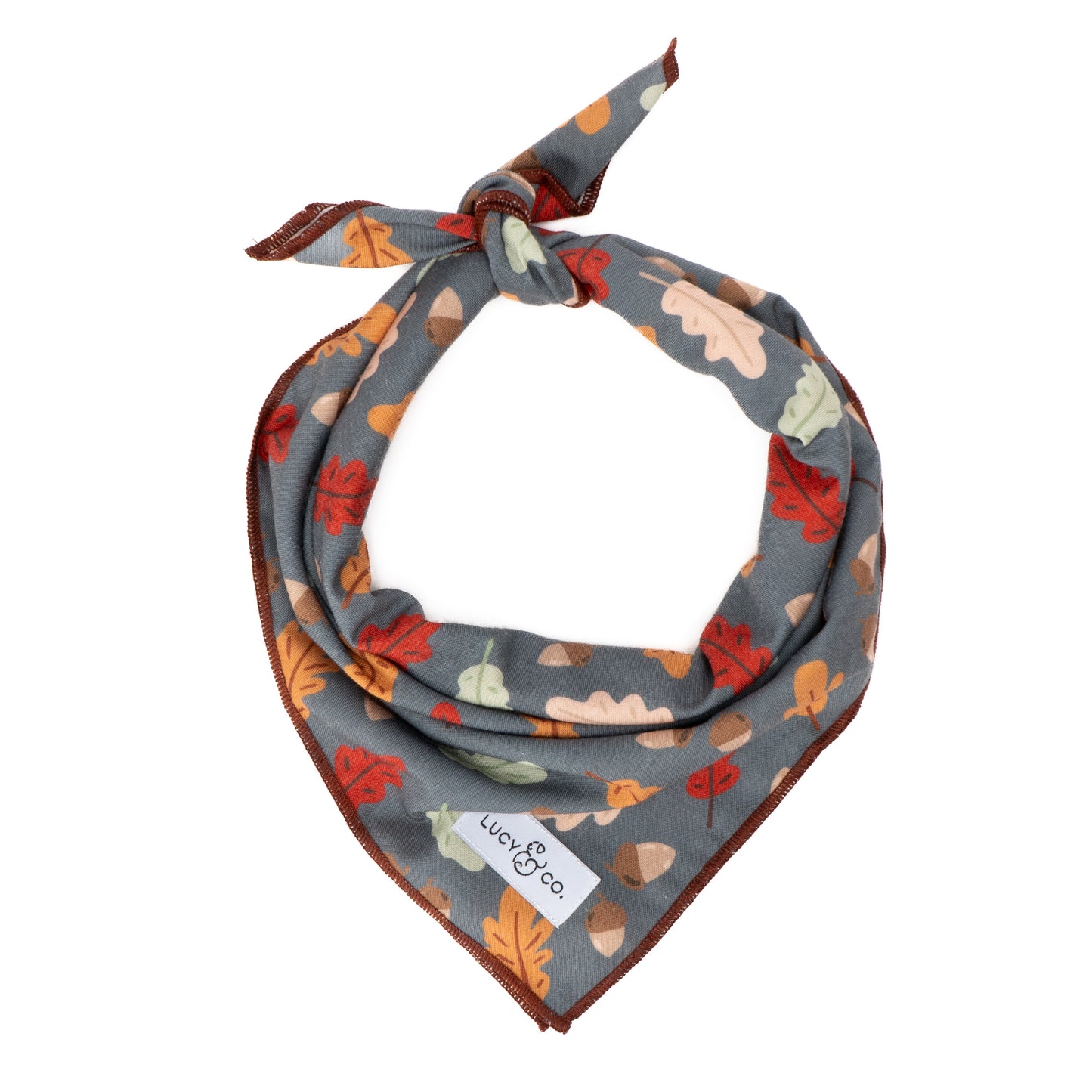 The Unbeleafable Bandana