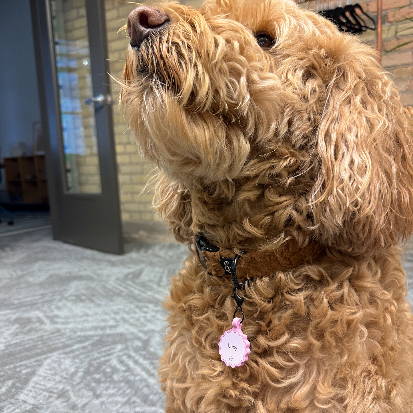 The Rosewater Silicone Personalized ID Tag
