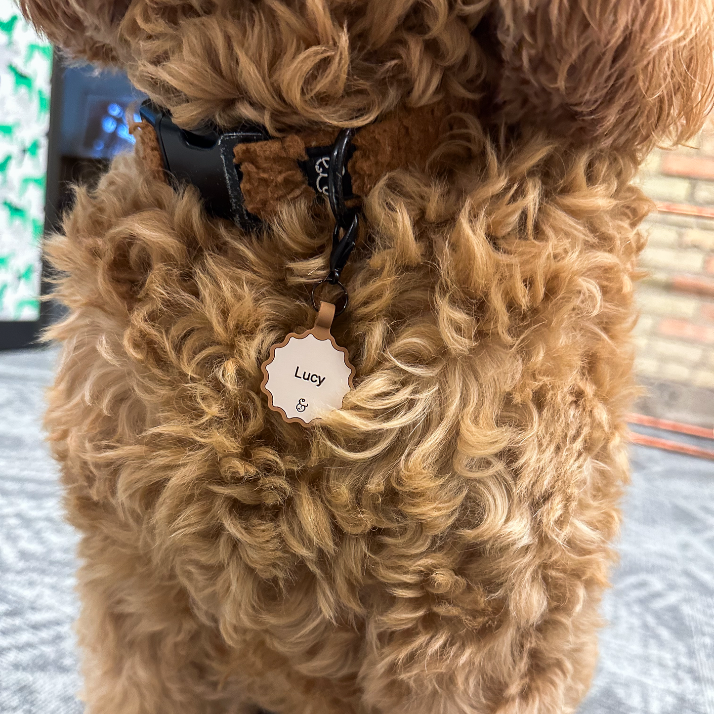 The Cinnamon Silicone Personalized ID Tag