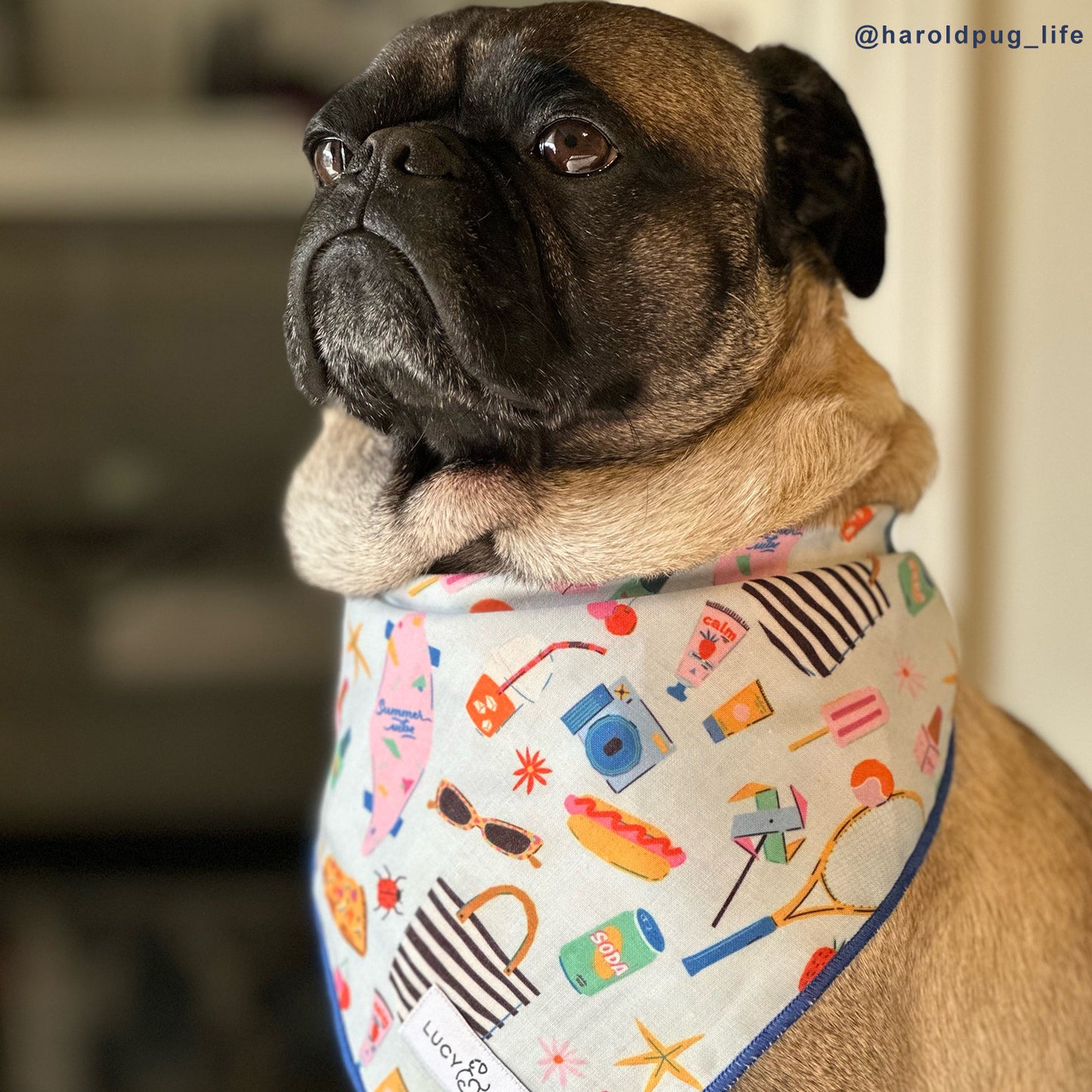 The Top Down Cruising Bandana