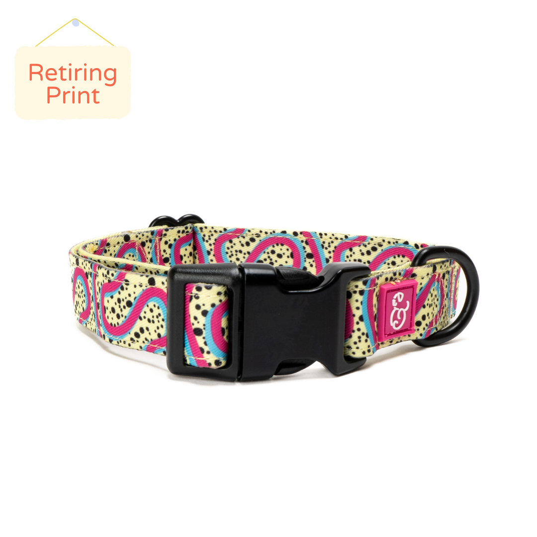 The Rolling Around Malibu Collar