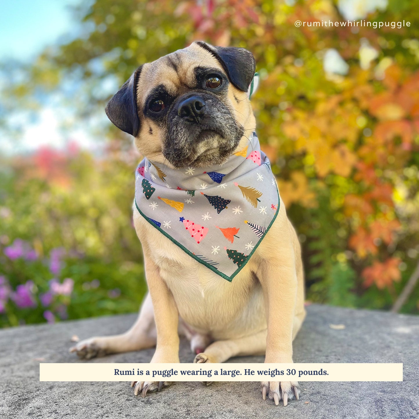 Limited Edition! The Tree-mendous Bandana