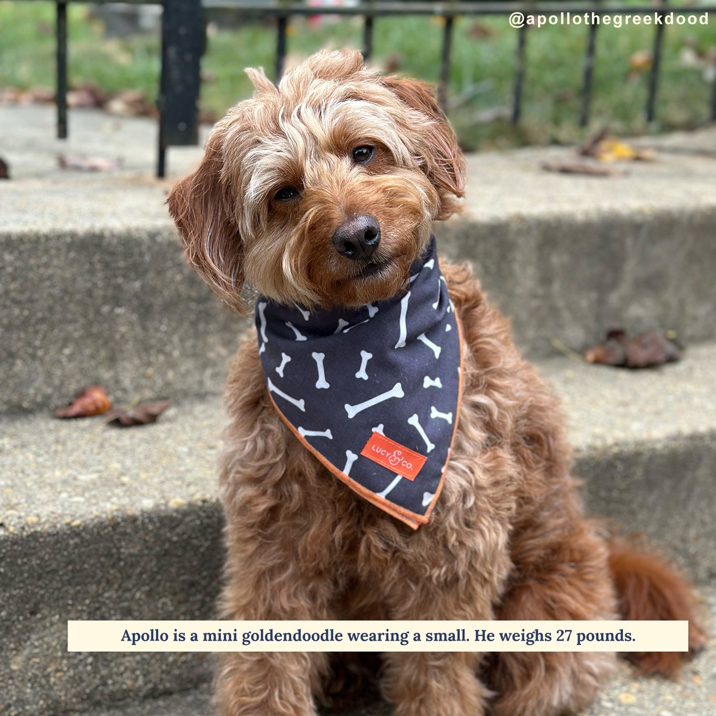 The Bone Collector Bandana