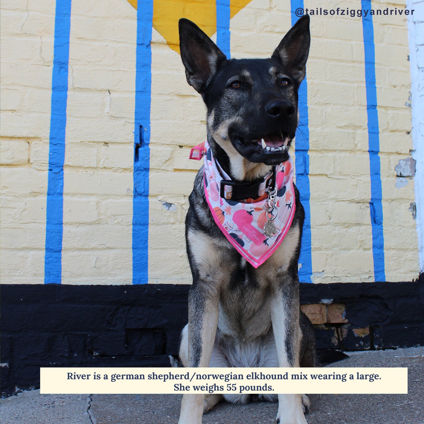 The Falling for You Bandana