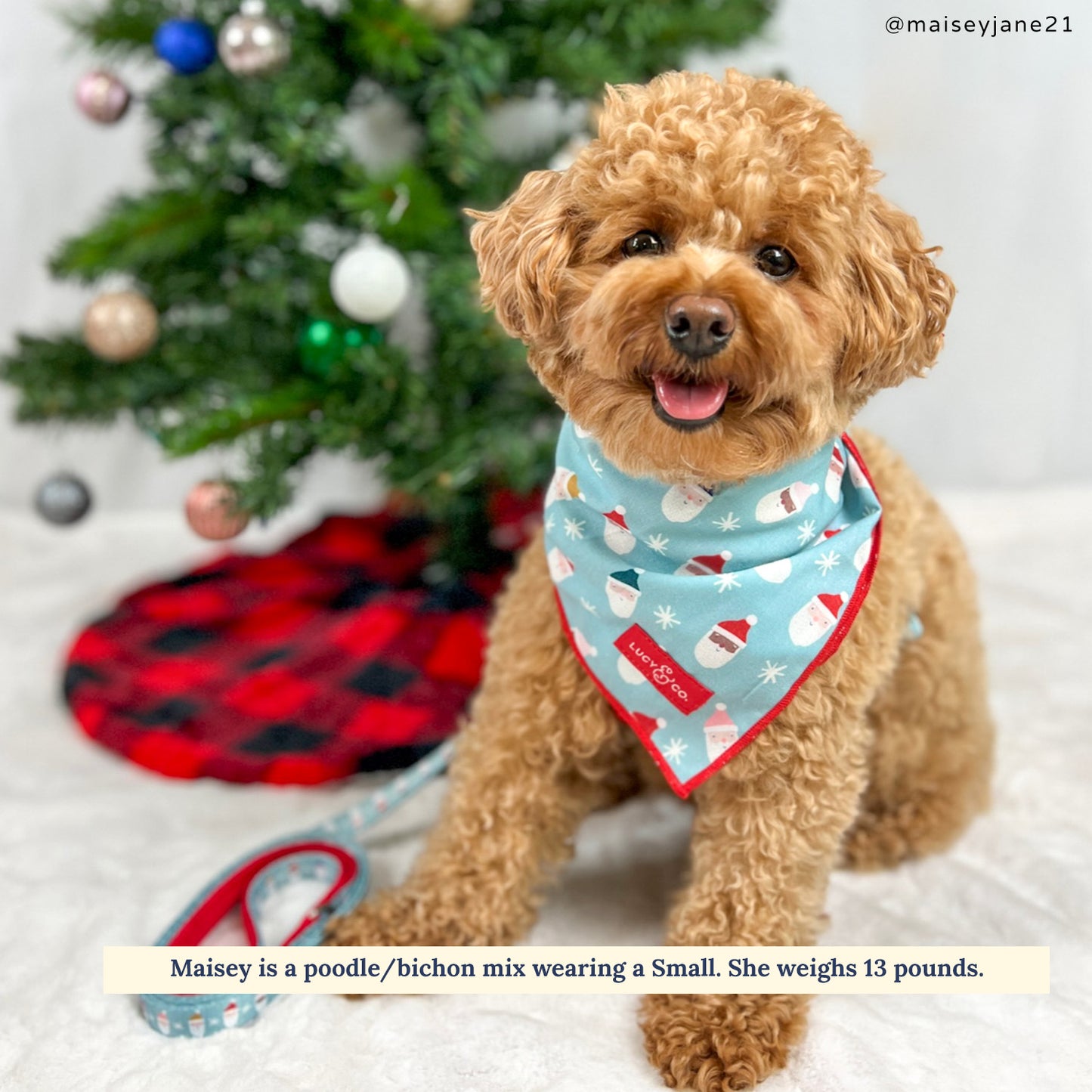 Limited Edition! The Merry & Bright Bandana
