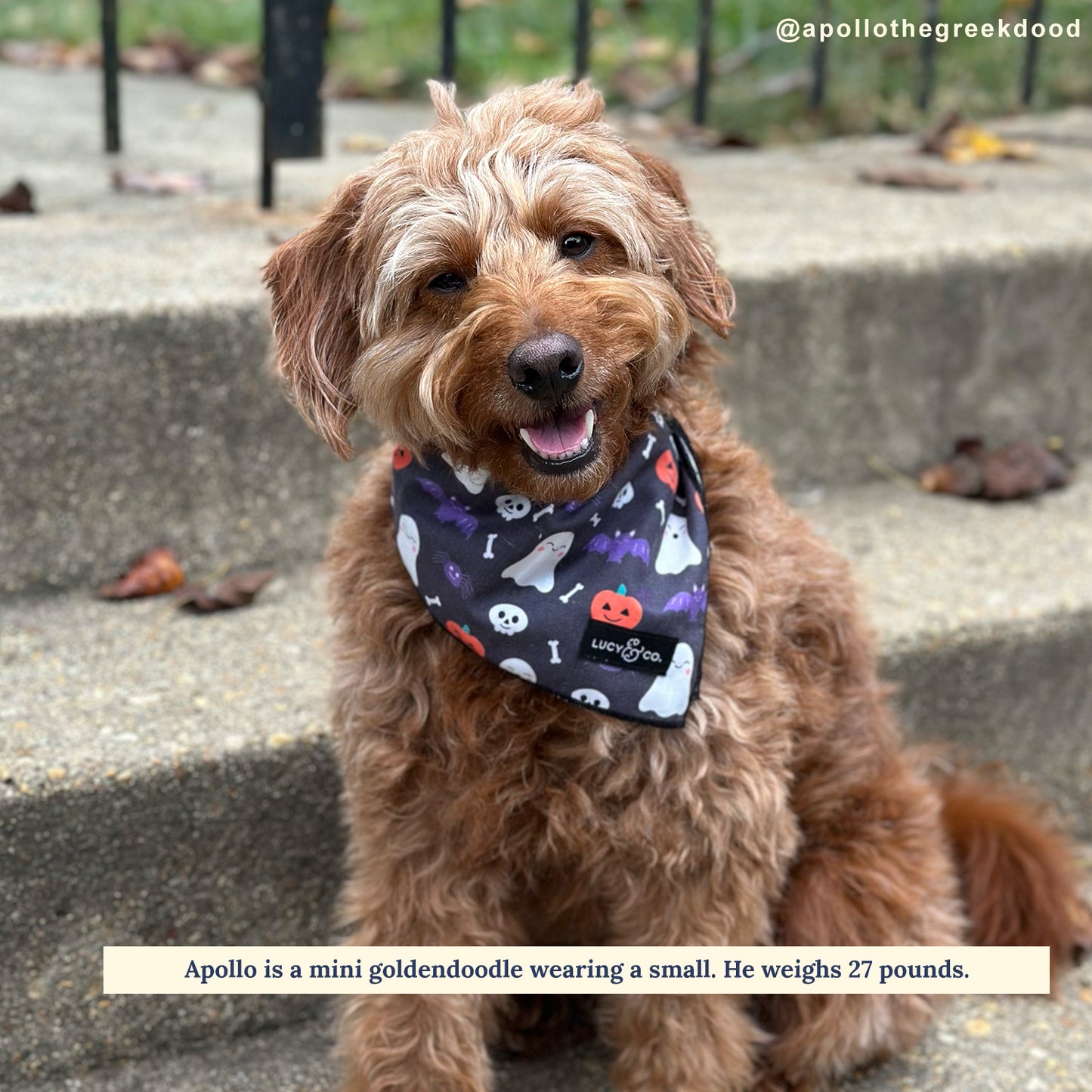 The Midnight Fright Bandana