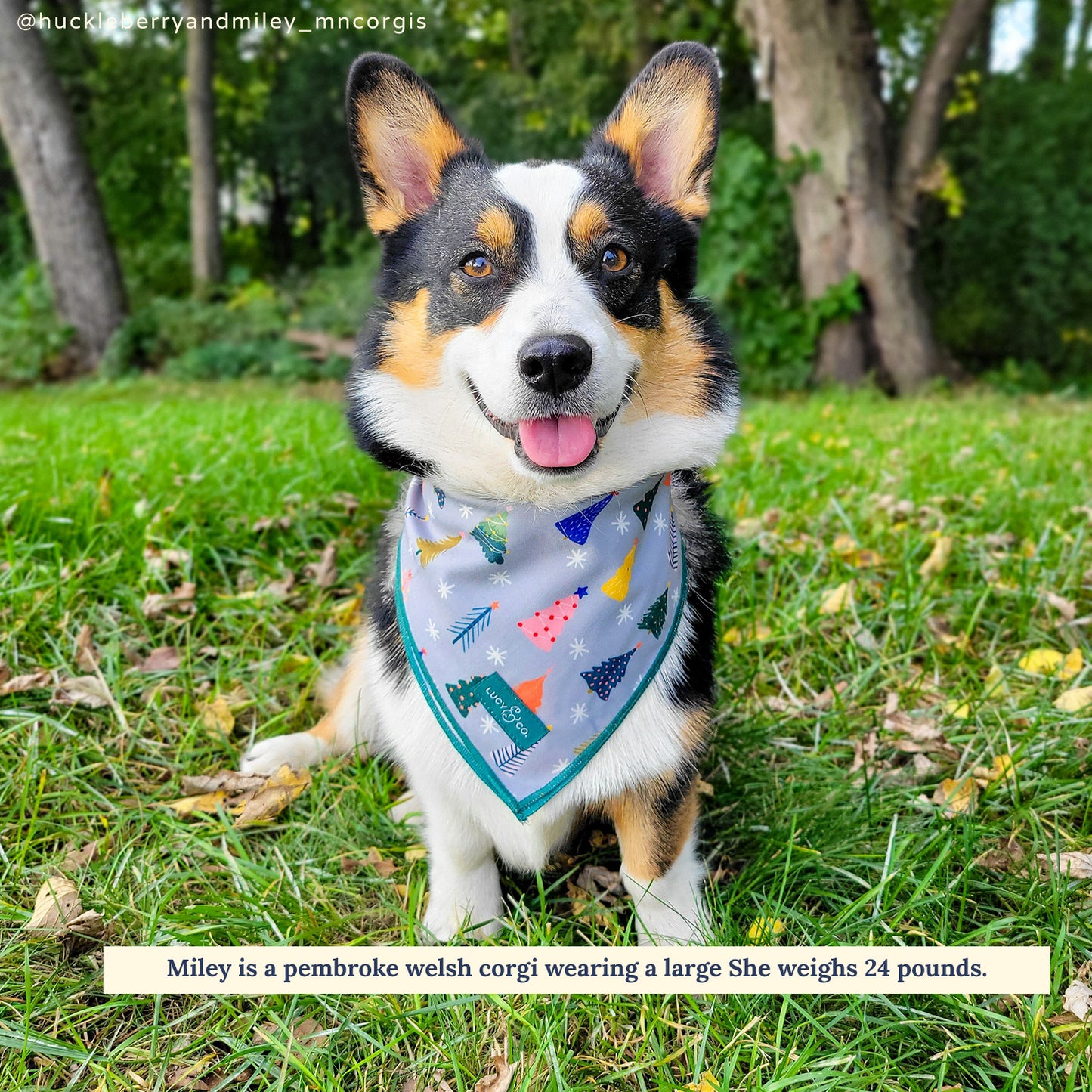 Limited Edition! The Tree-mendous Bandana