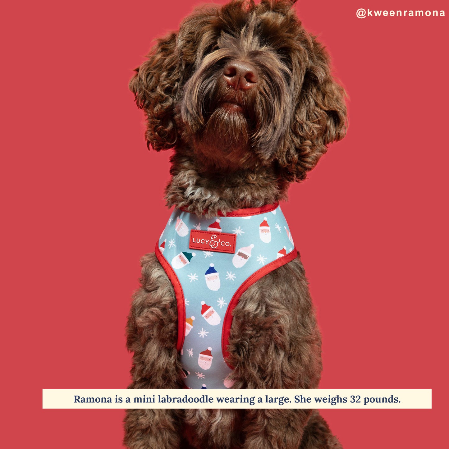 Limited Edition! The Merry & Bright Reversible Harness