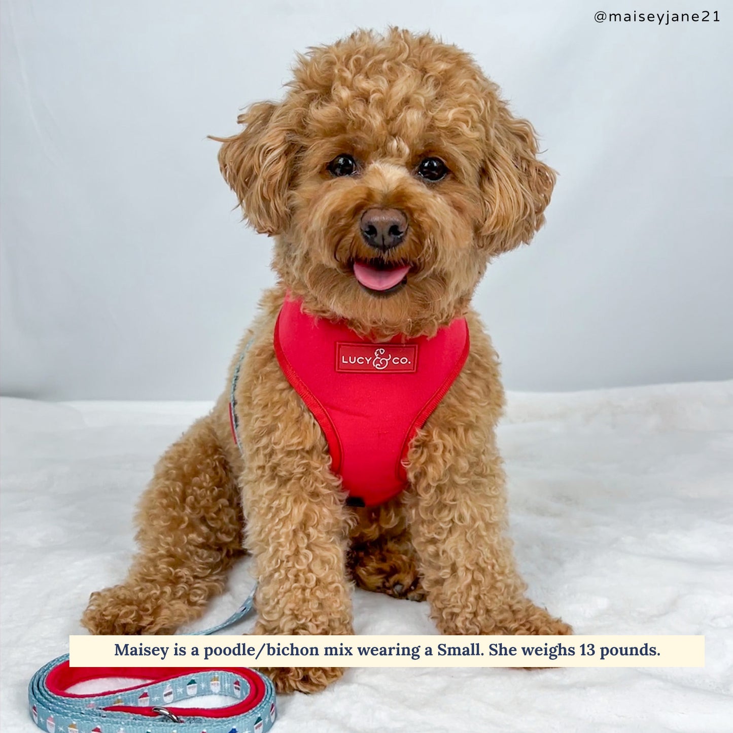 Limited Edition! The Merry & Bright Reversible Harness