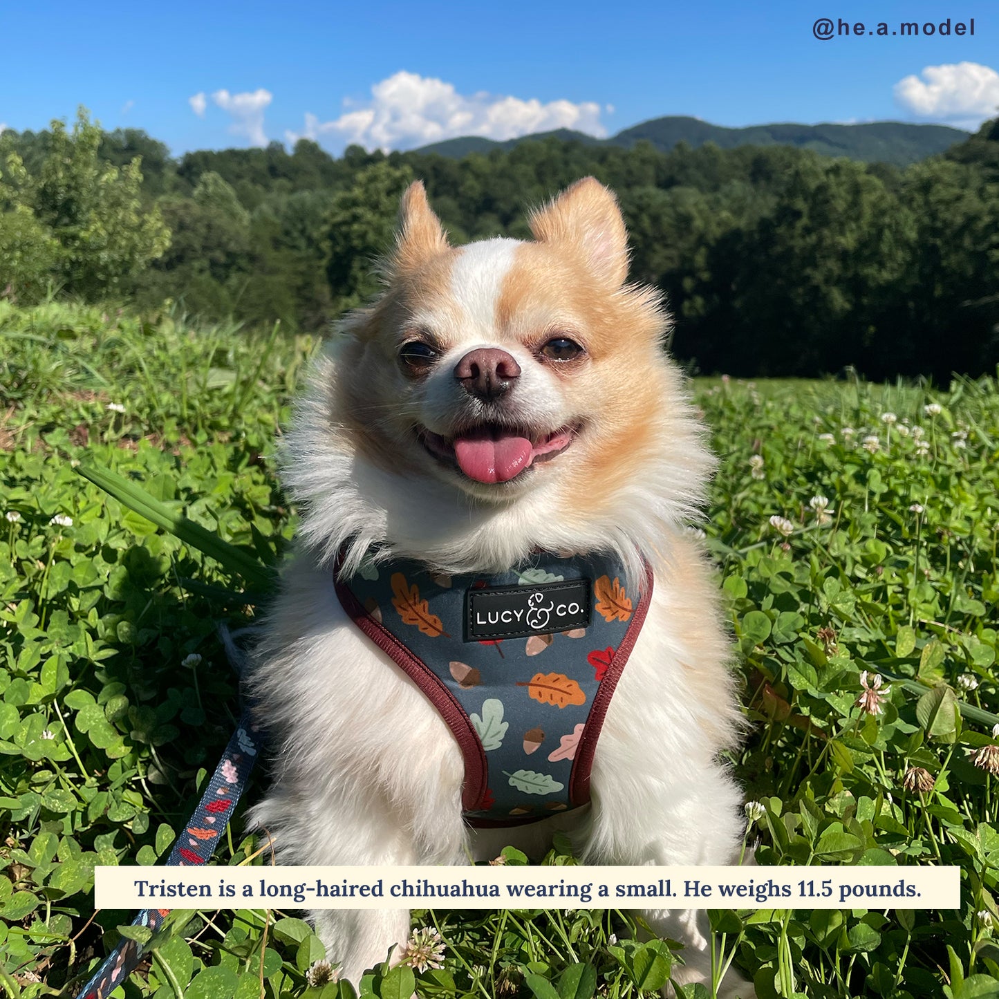 The Unbeleafable Reversible Harness