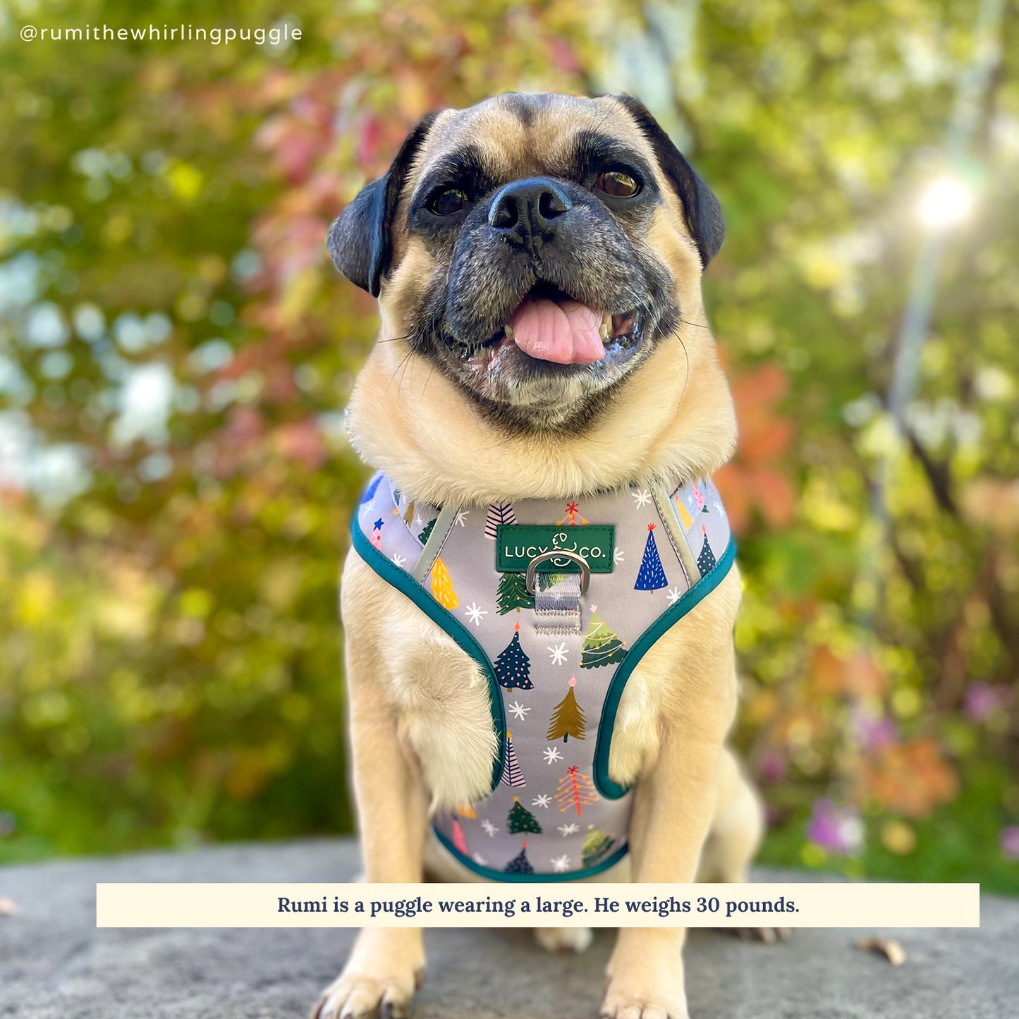 Limited Edition! The Tree-mendous No-Pull Harness