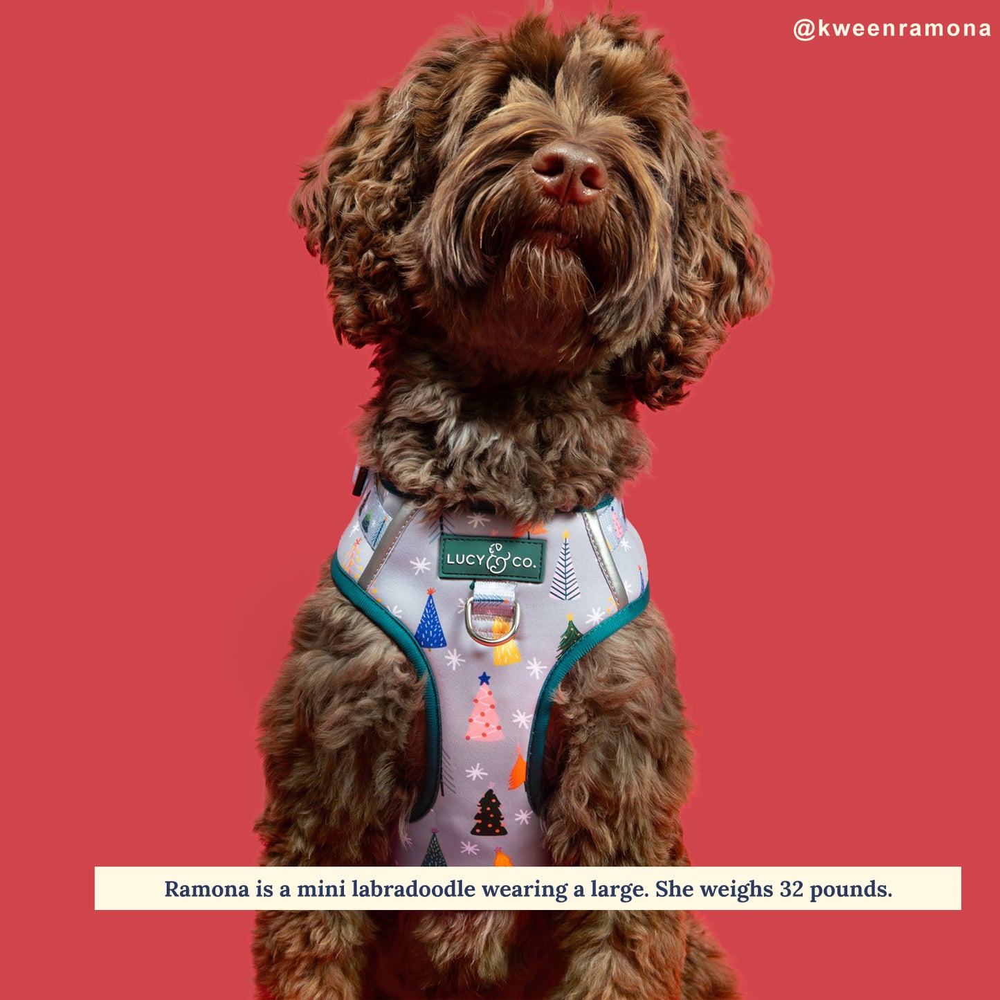 Limited Edition! The Tree-mendous No-Pull Harness