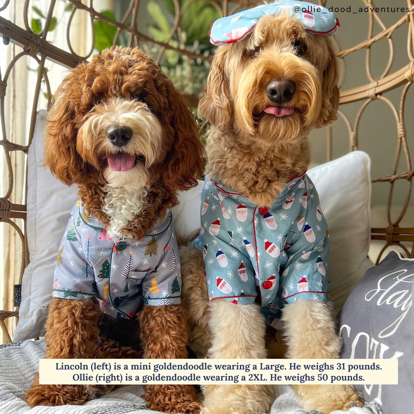 Limited Edition! The Merry & Bright Pajamas + Human Eye Pillow