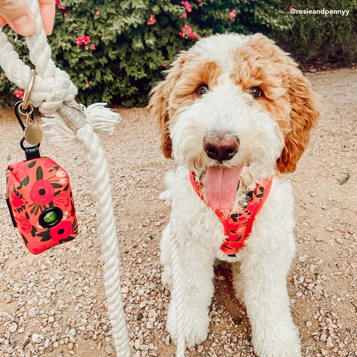 The Posy Pink Poop Bag Holder