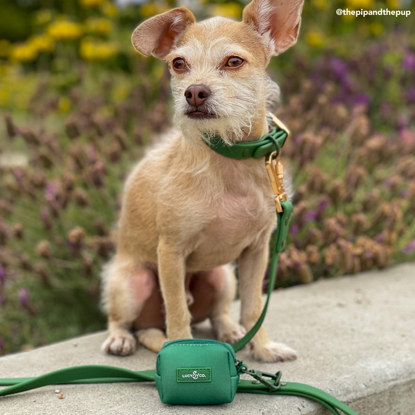 Pine Poop Bag Holder