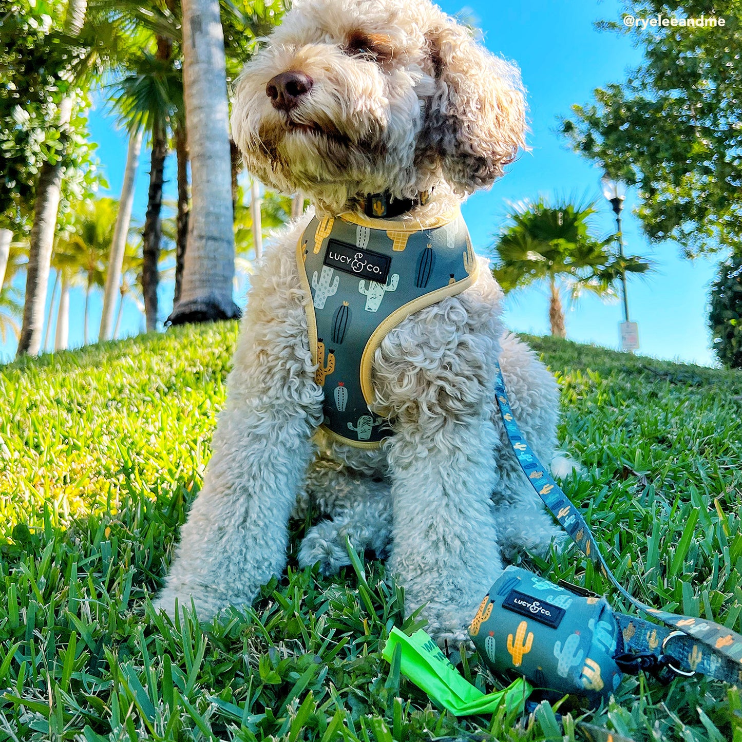 The Looking Sharp Poop Bag Holder