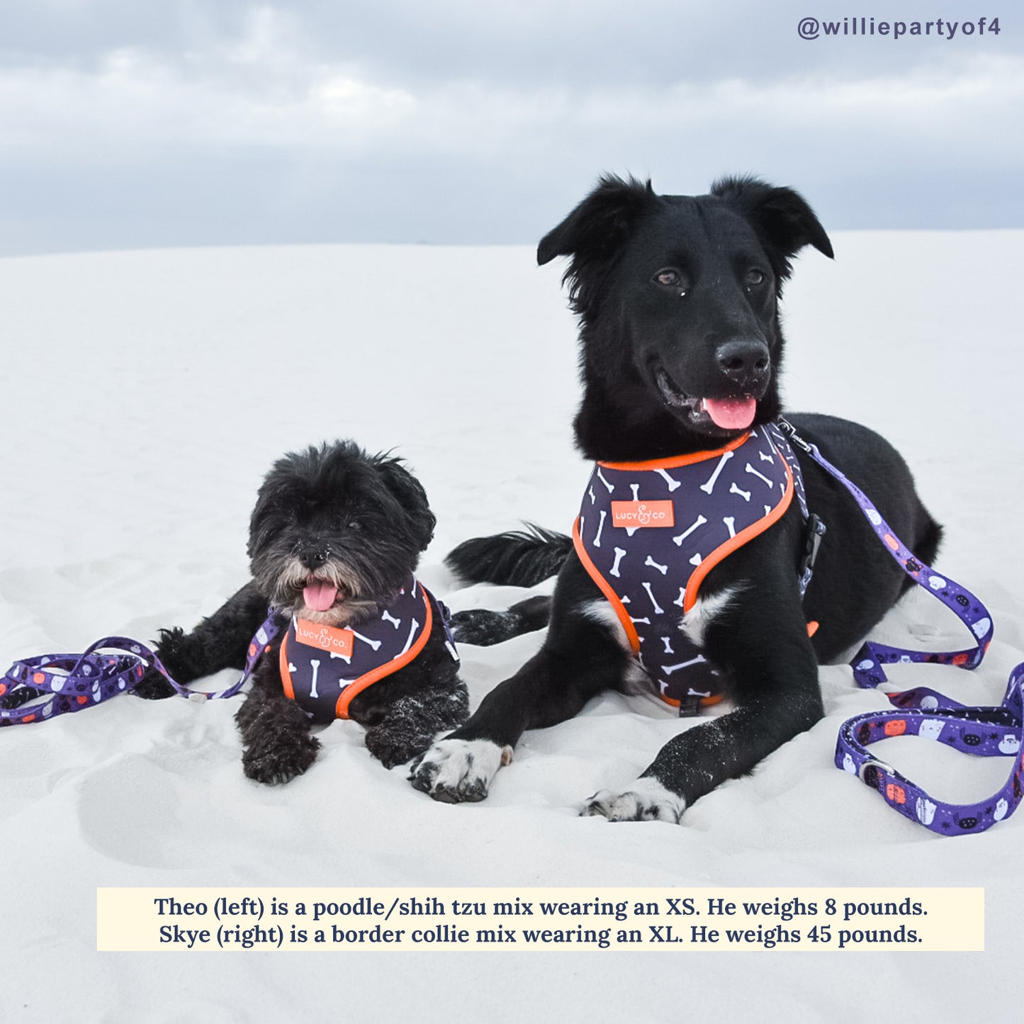 The Boo Thang Reversible Harness