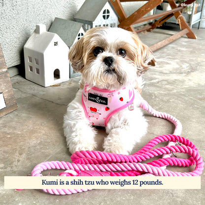 The Cupid's Crush Hands-Free Rope Leash