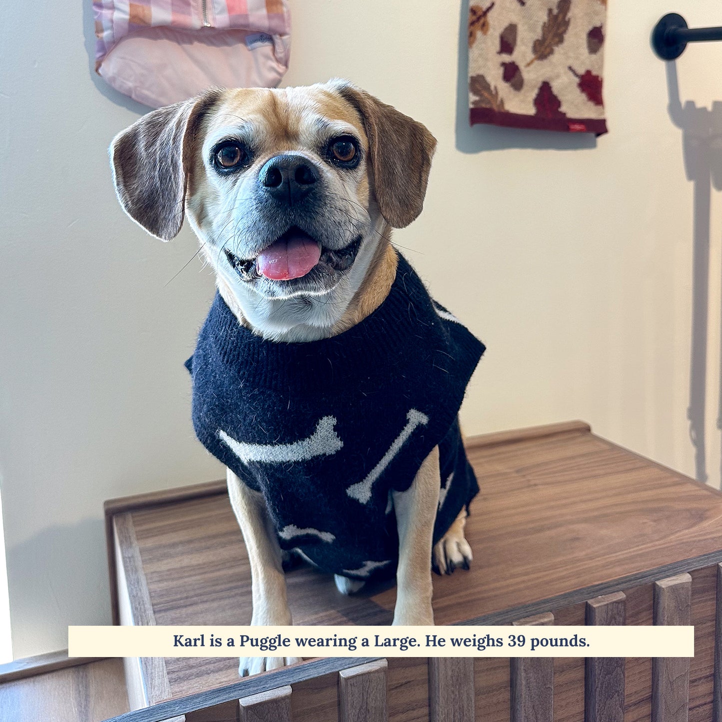 The Bone Collector Sweater