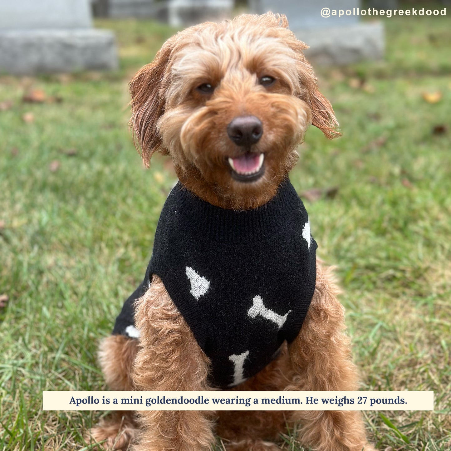 The Bone Collector Sweater
