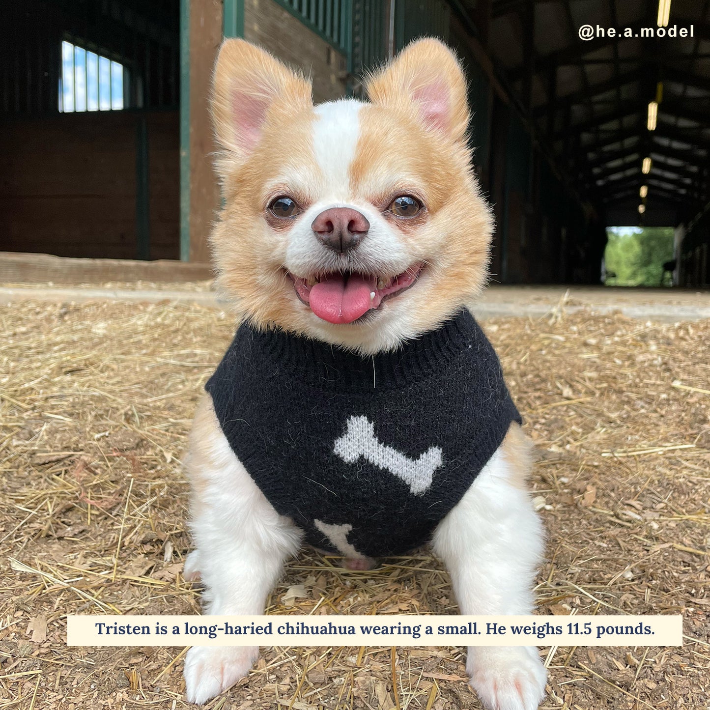 The Bone Collector Sweater
