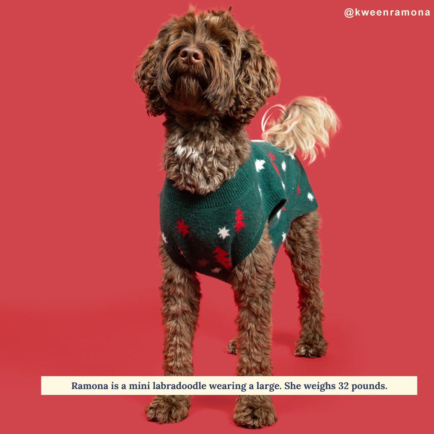 Limited Edition! The Joy to the World Sweater