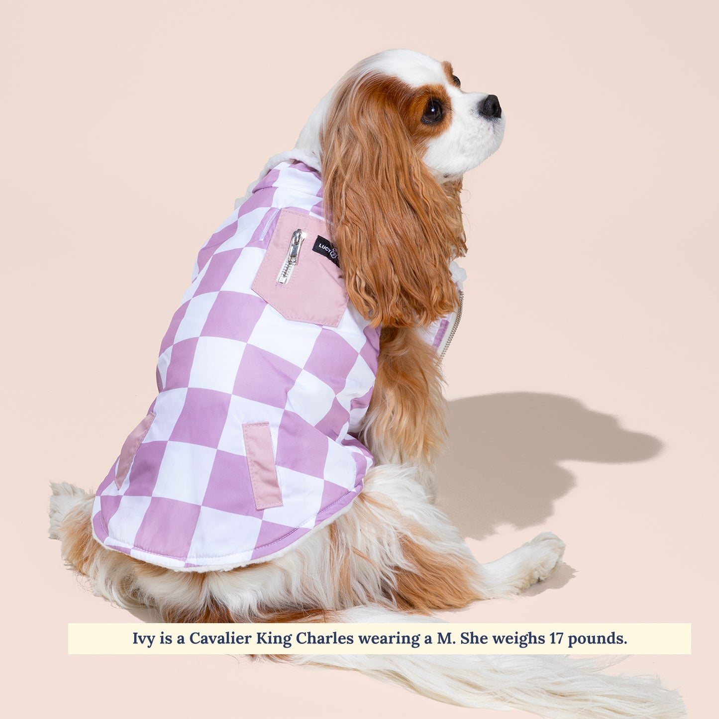 The Checked Out Reversible Teddy Vest