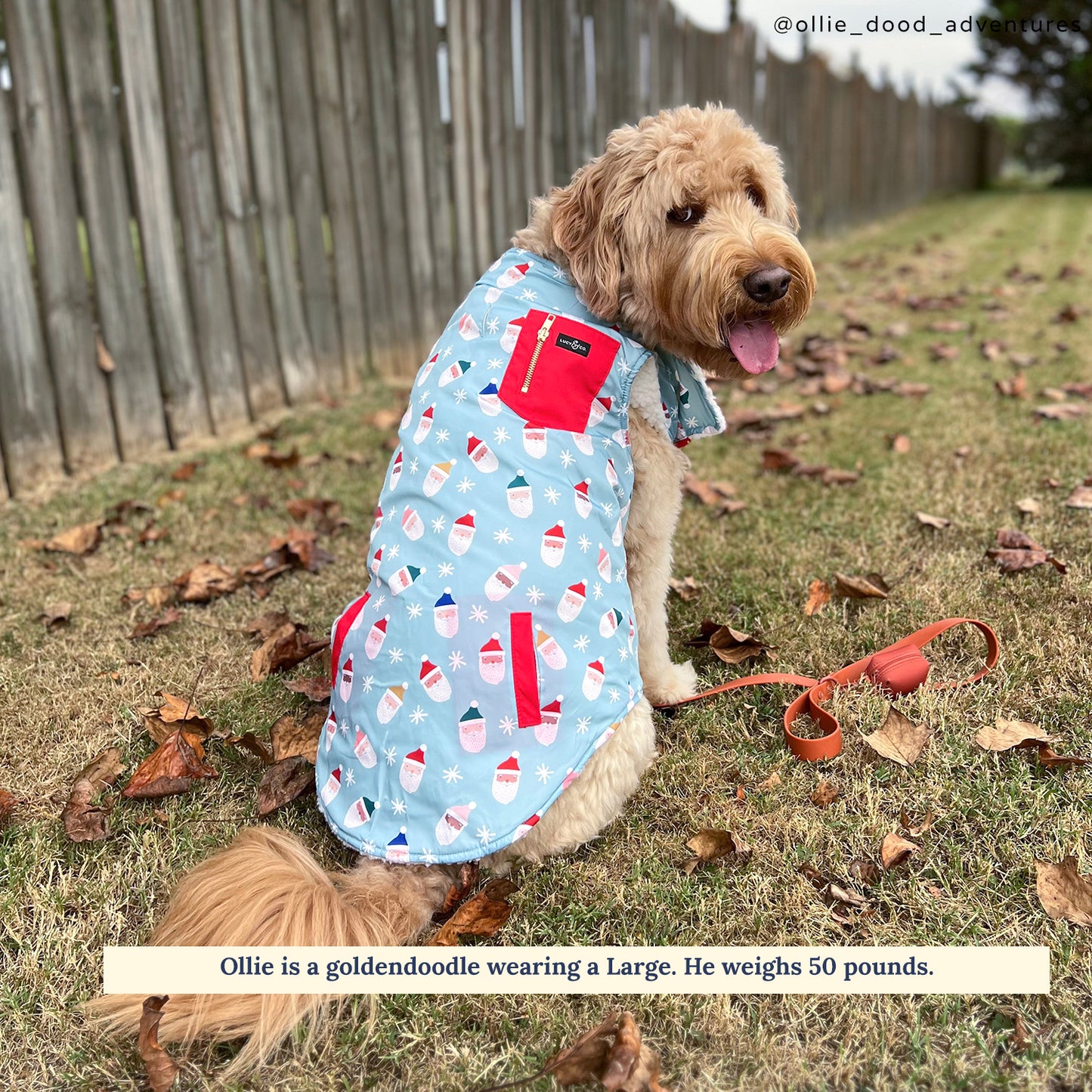 Limited Edition! The Merry & Bright Reversible Teddy Vest