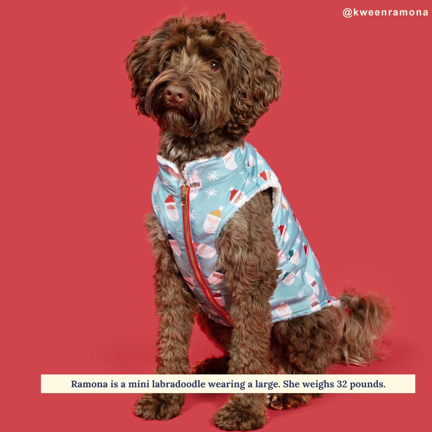 Limited Edition! The Merry & Bright Reversible Teddy Vest
