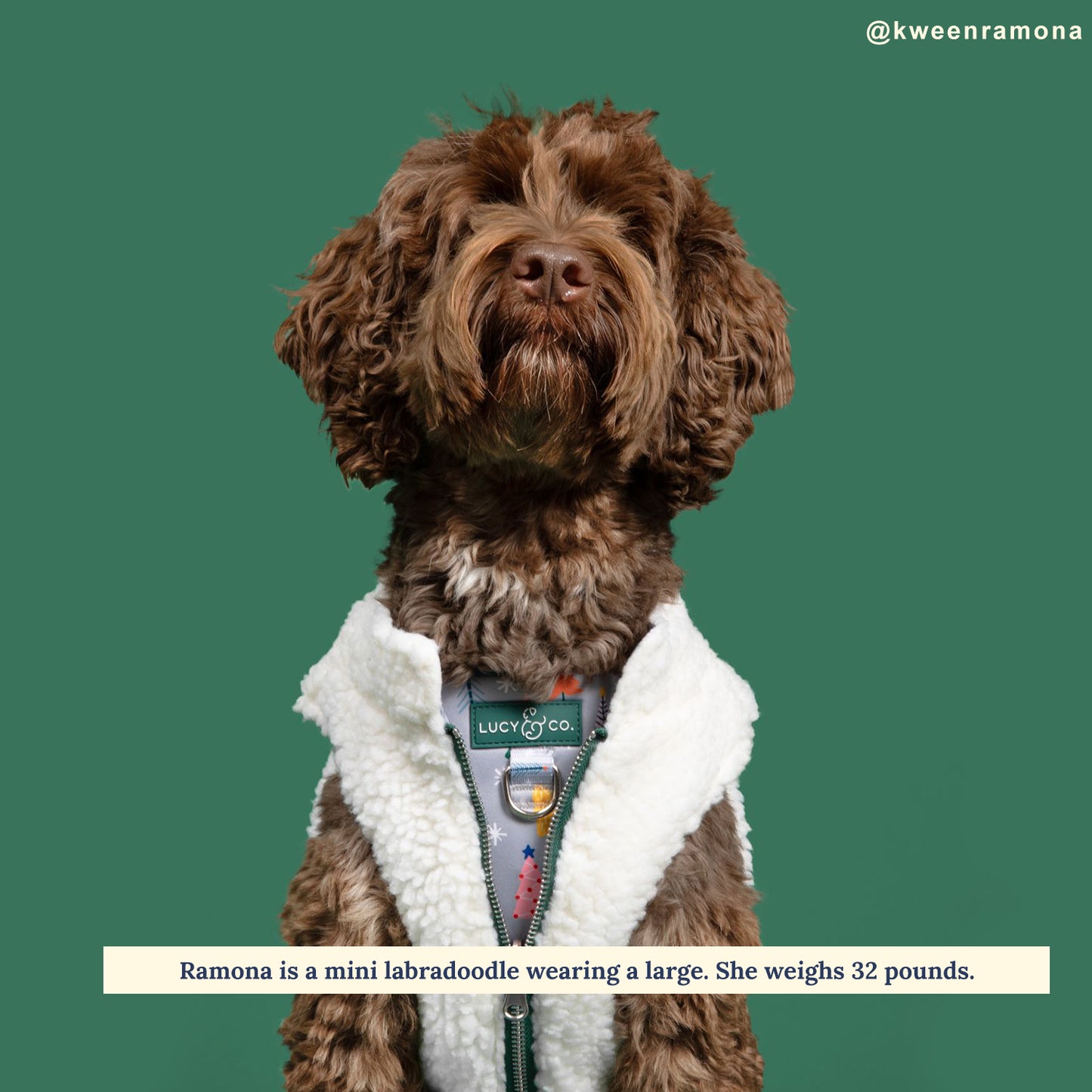 Limited Edition! The Tree-mendous Reversible Teddy Vest