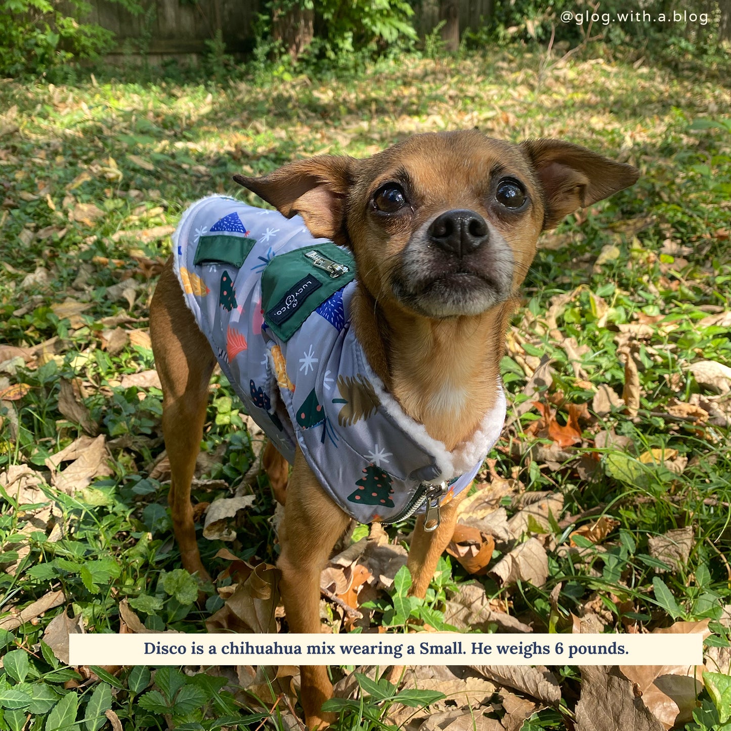 Limited Edition! The Tree-mendous Reversible Teddy Vest