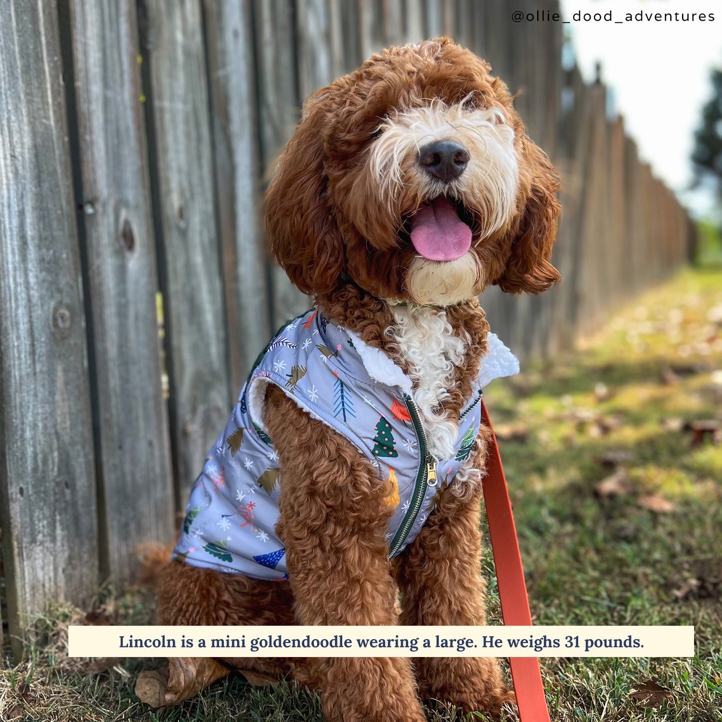 Limited Edition! The Tree-mendous Reversible Teddy Vest