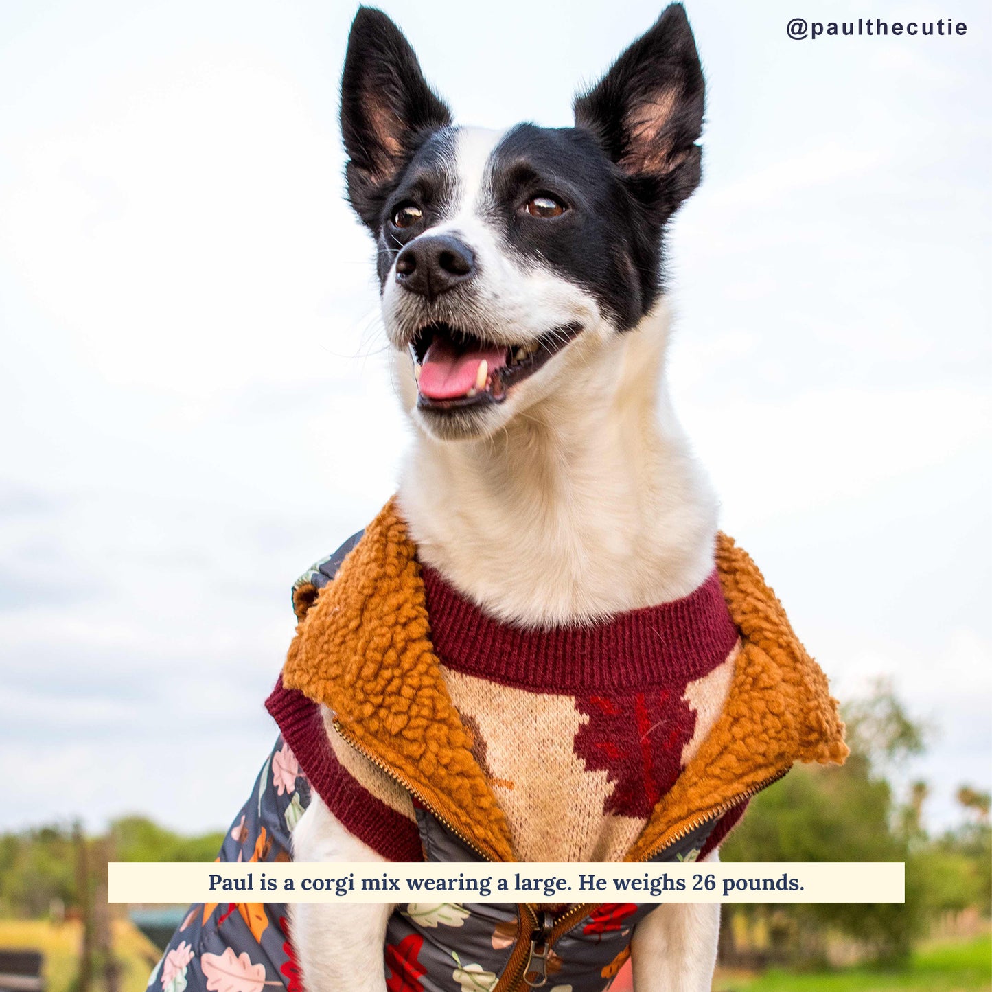The Unbeleafable Reversible Teddy Vest