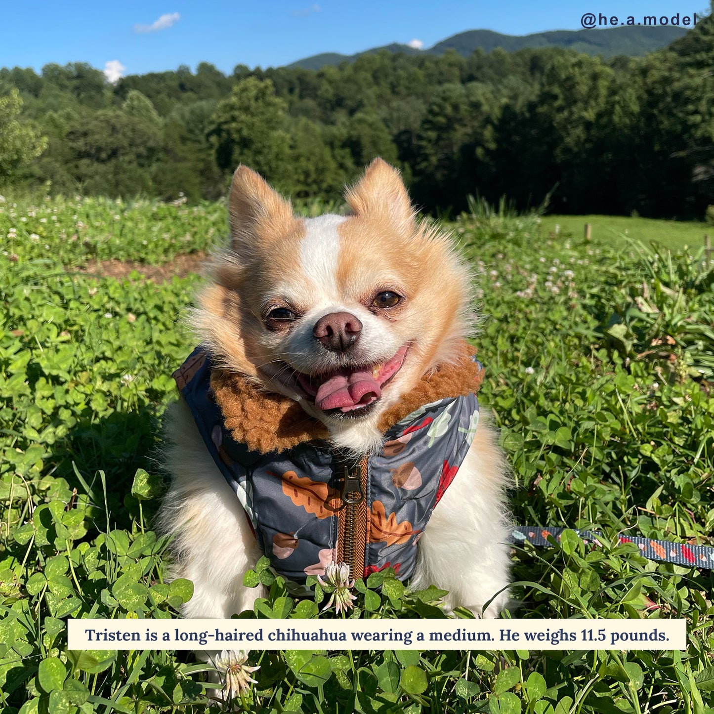 The Unbeleafable Reversible Teddy Vest