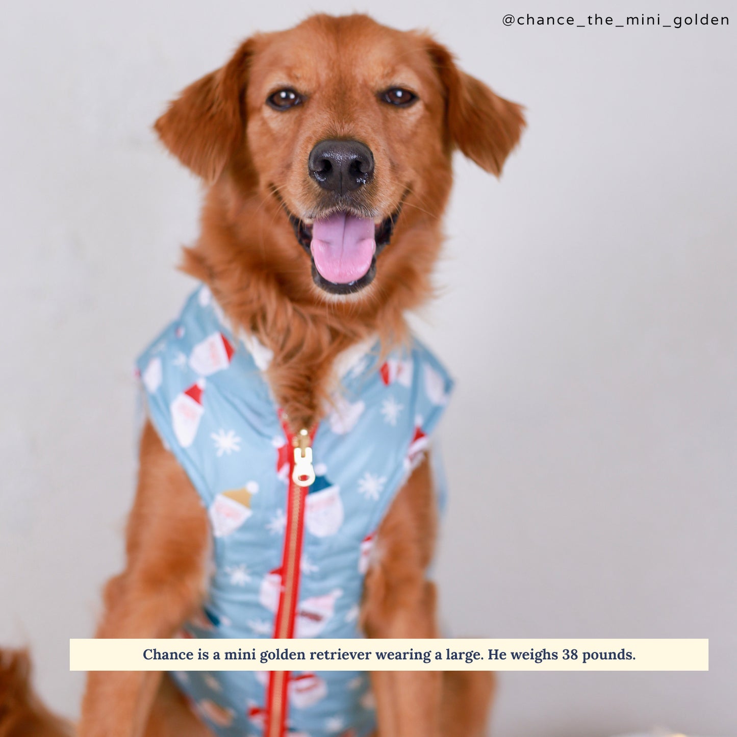Limited Edition! The Merry & Bright Reversible Teddy Vest
