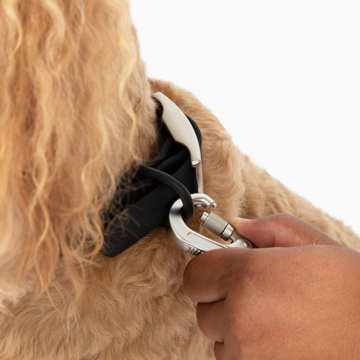 Midnight Waterproof PVC Leash
