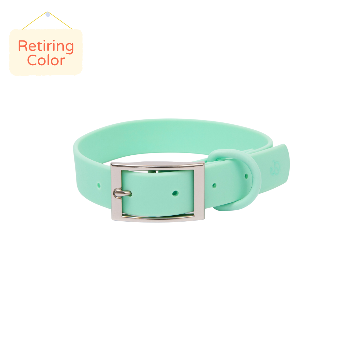 tiffany dog collar