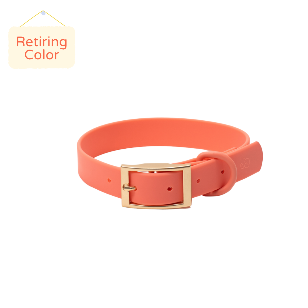 entre Elocuente corte largo Coral Waterproof Dog Collar | Odor-Proof & Weather Resistant – Lucy & Co.